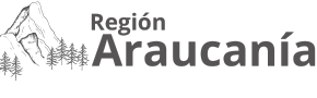ara (2) divi_elegant_logo_03
