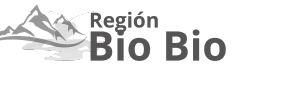 bio (2) divi_elegant_logo_05